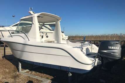 Sessa Marine Dorado 20