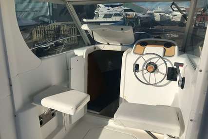 Sessa Marine Dorado 20