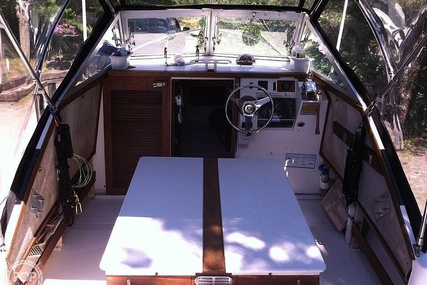 Shamrock 200 Runabout Cuddy