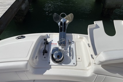 Sea Ray 290 Sdx Ob