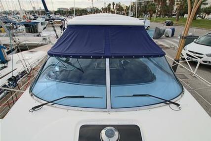 Sealine S43