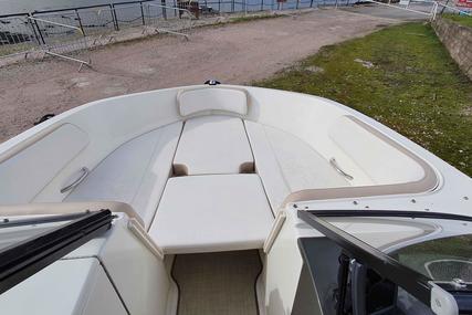 Bayliner VR 6 Bowrider