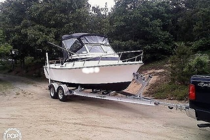 Shamrock 200 Runabout Cuddy