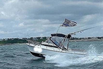 Shamrock 200 Runabout Cuddy