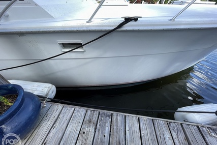 Hatteras 45