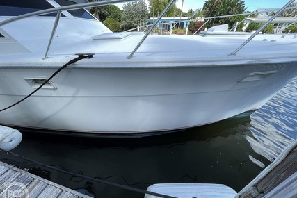 Hatteras 45