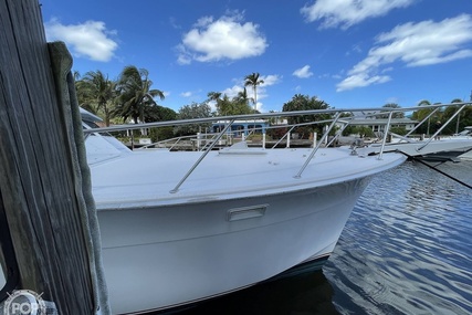 Hatteras 45