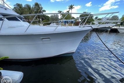 Hatteras 45