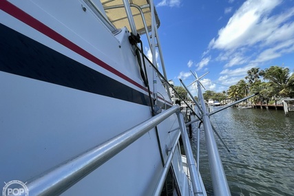 Hatteras 45