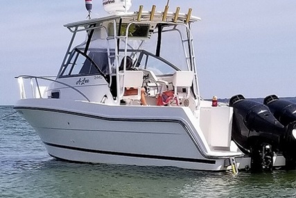 Robalo 2440 Walkaround