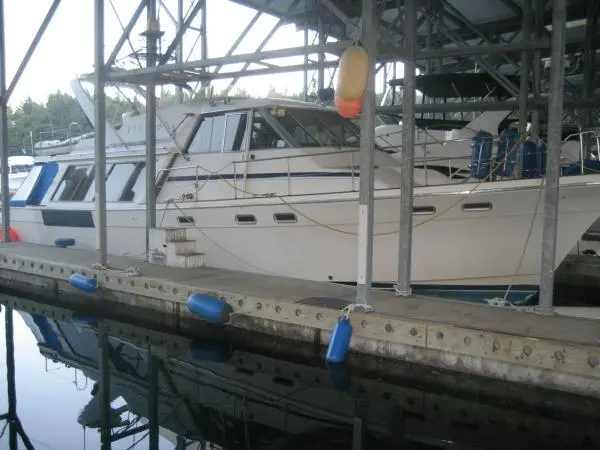 Bayliner 4588 Pilothouse Motoryacht