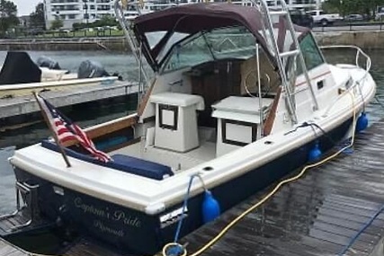 Hinterhoeller Limestone 24 Express Cruiser