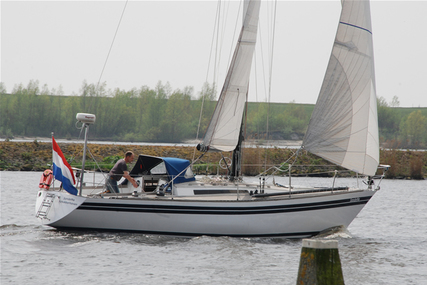 Huisman 37