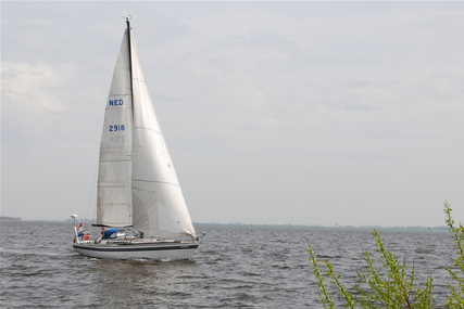 Huisman 37