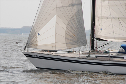 Huisman 37