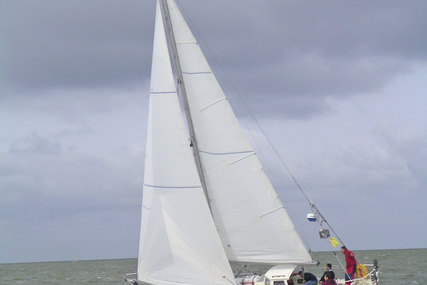 L. Van De Wiele Corvo Sloop