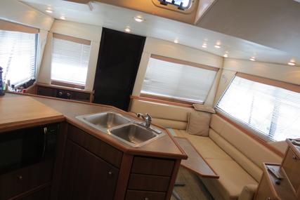 Bayliner 3988 Command Bridge Pilothouse