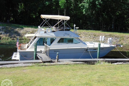 Sea Ray 355T