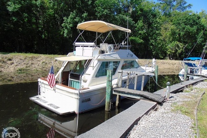 Sea Ray 355T