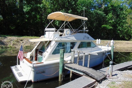 Sea Ray 355T