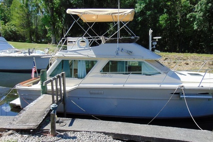 Sea Ray 355T