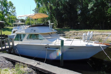 Sea Ray 355T