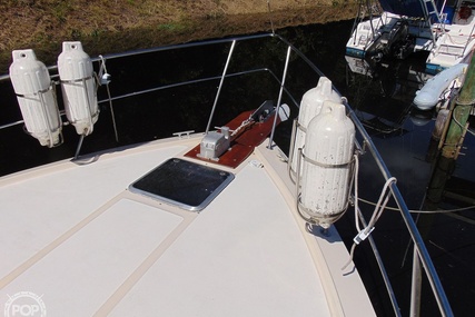 Sea Ray 355T