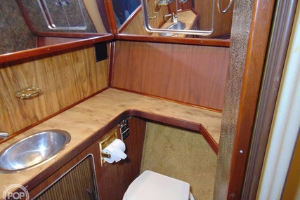 Sea Ray 355T