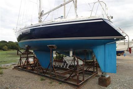 Contessa 34