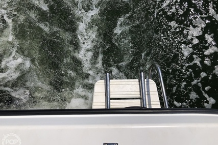 Seaswirl 2600 Striper