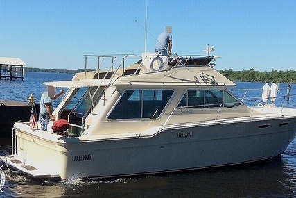 Sea Ray 355T