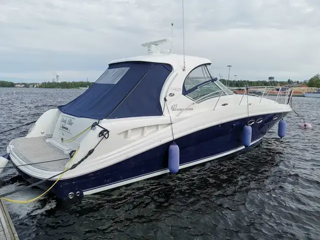 Sea Ray Sundancer 425 Ray