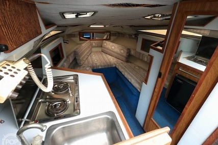 Sea Ray 230 Weekender