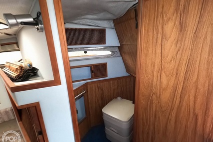 Sea Ray 230 Weekender