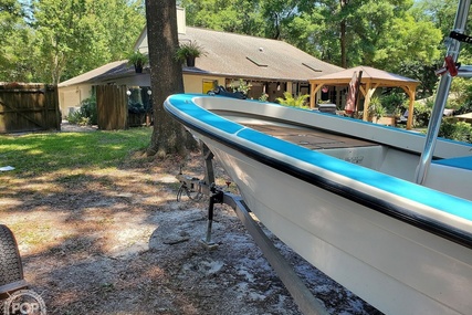 Panga Super Skiff 20