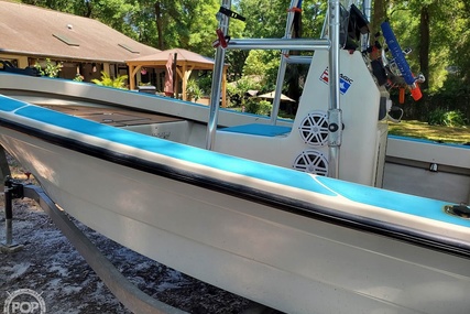 Panga Super Skiff 20