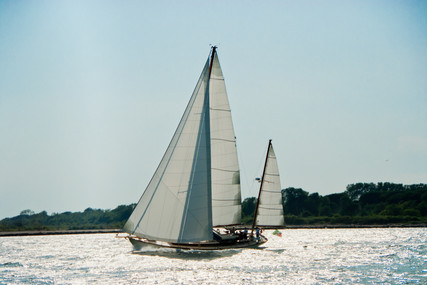 Sangermani YAWL 54