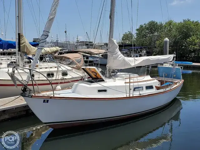 Cape Dory 25