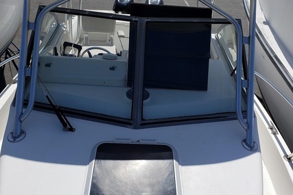 Robalo 2440 Walkaround