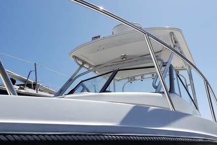 Robalo 2440 Walkaround