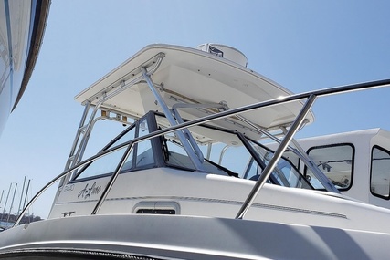 Robalo 2440 Walkaround