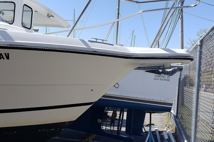 Robalo 2440 Walkaround