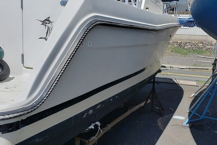 Robalo 2440 Walkaround