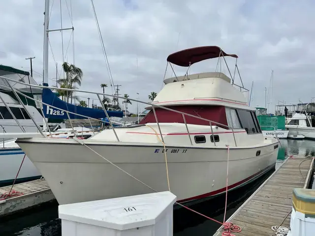 Bayliner Explorer