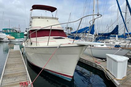 Bayliner Explorer