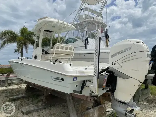 Boston Whaler 240 Dauntless Pro