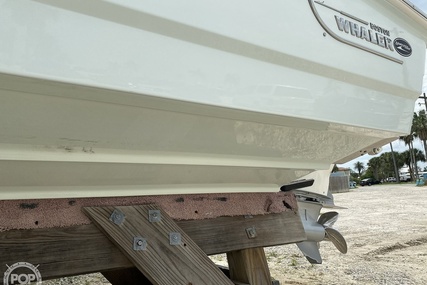 Boston Whaler 240 Dauntless Pro