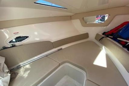 Bayliner 742R Cuddy Cabin