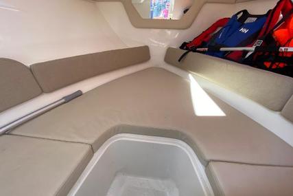 Bayliner 742R Cuddy Cabin