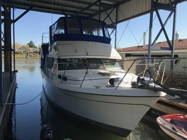 Bayliner 40 Bodega